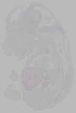 EMAGE:16260
