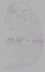 EMAGE:16262