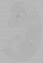 EMAGE:16271