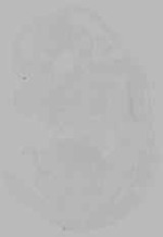 EMAGE:16275