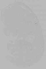 EMAGE:16275