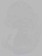 EMAGE:16279