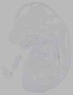 EMAGE:16279