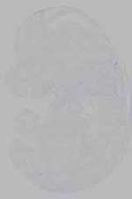 EMAGE:16279