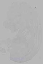 EMAGE:16317