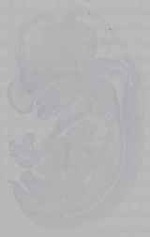 EMAGE:16334