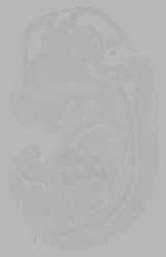 EMAGE:16335