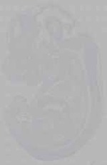 EMAGE:16336