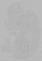 EMAGE:16336