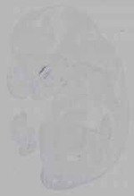EMAGE:16346
