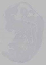 EMAGE:16361