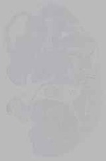 EMAGE:16366
