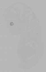 EMAGE:16370