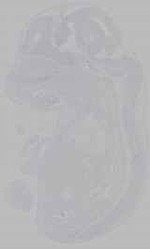 EMAGE:16379