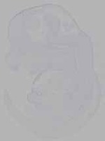 EMAGE:16404