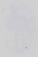 EMAGE:16479