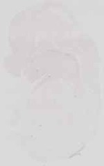 EMAGE:16549
