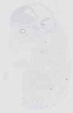 EMAGE:16552