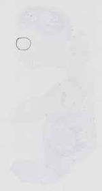 EMAGE:16552