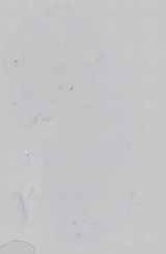 EMAGE:16571