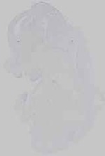 EMAGE:16572