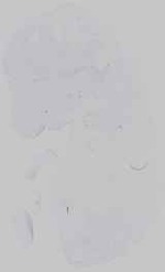 EMAGE:16572