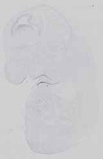EMAGE:16584