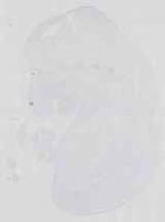 EMAGE:16640