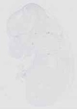 EMAGE:16654