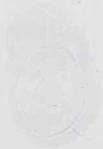 EMAGE:16654