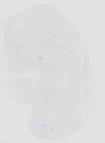 EMAGE:16658