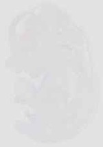 EMAGE:16658
