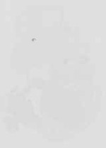 EMAGE:16659