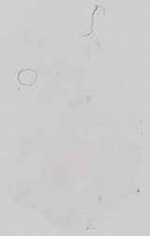 EMAGE:16676