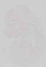 EMAGE:16676