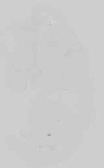 EMAGE:16683