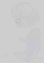 EMAGE:16683