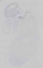 EMAGE:16694