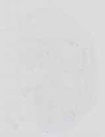 EMAGE:16700