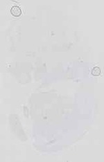 EMAGE:16701