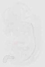 EMAGE:16702