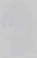 EMAGE:16705