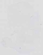 EMAGE:16734