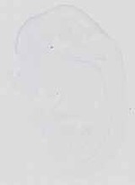 EMAGE:16734