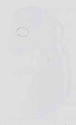 EMAGE:16734