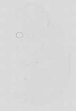 EMAGE:16738