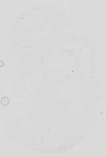 EMAGE:16738