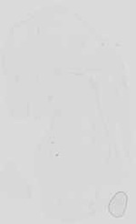 EMAGE:16738