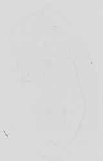 EMAGE:16738