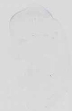 EMAGE:16738